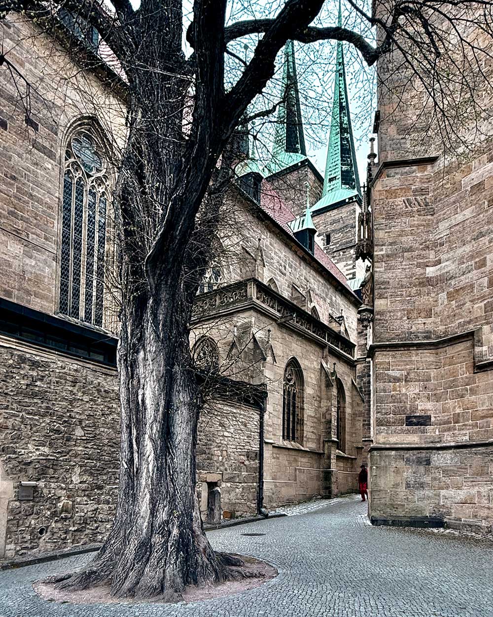 erfurt-tree-behind-cathedral-1000 Erfurt Tree behind Cathedral